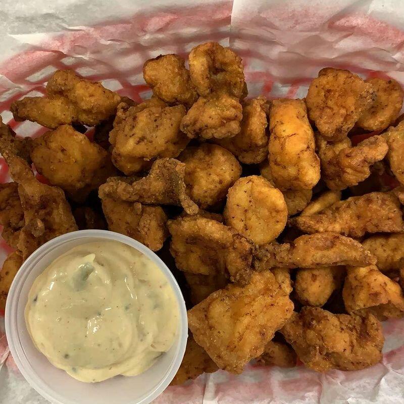 Alligator Bites